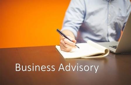 Business advisory services by Chartered Accountants in Delhi for startups, SMEs, and companies.